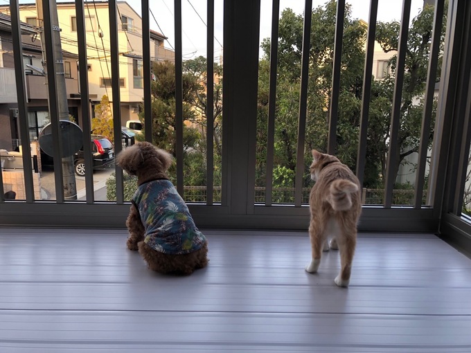 ペットのリフォーム